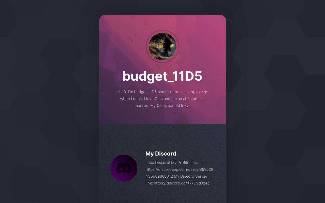 Carrd profile picture for @budget